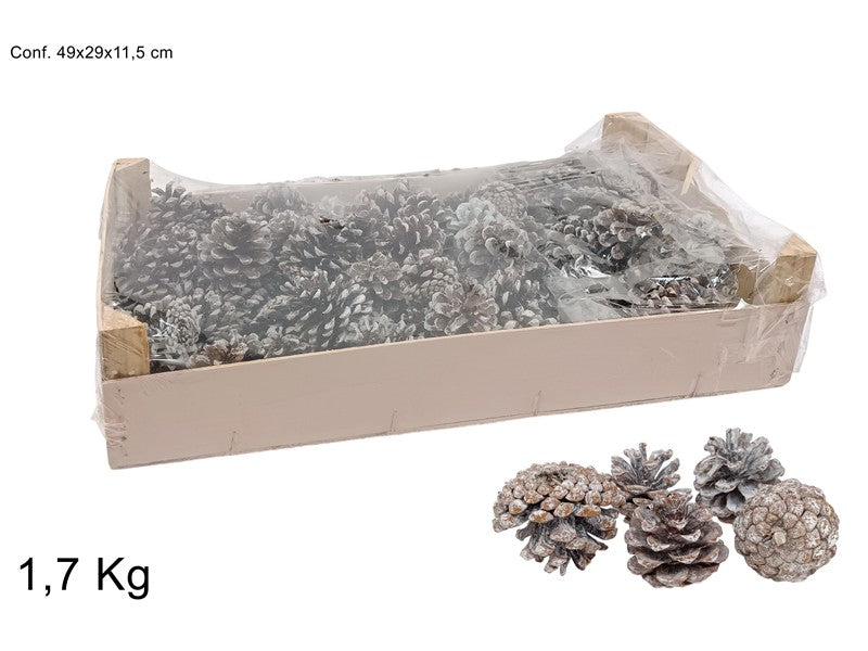 CASSETTA PIGNE INNEVATE 1KG