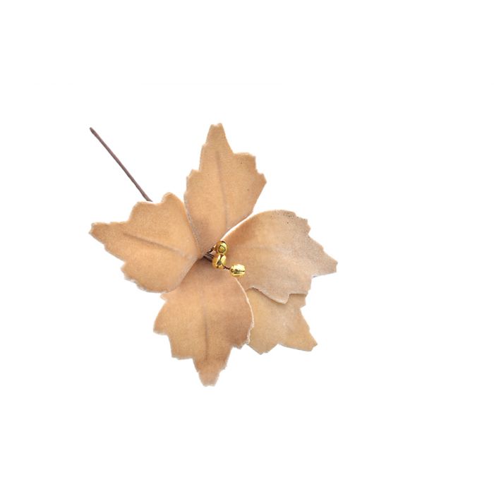FIORE GAMBO CORTO CHAMPAGNE