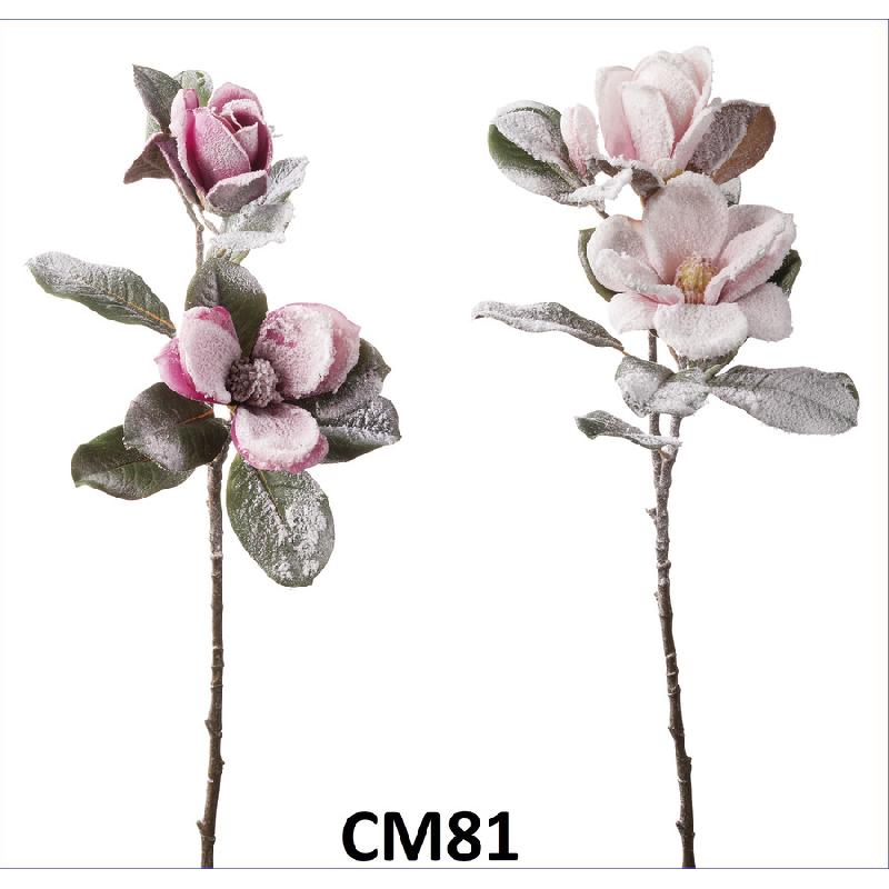 STELO MAGNOLIA INNEVATA CM81 2ASS