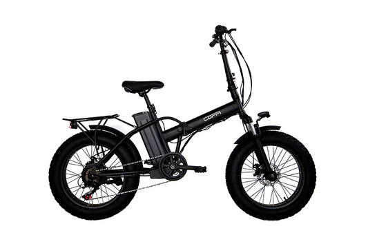 E-BIKE VESUVIO – FATBIKE ACCIAIO 20 ”